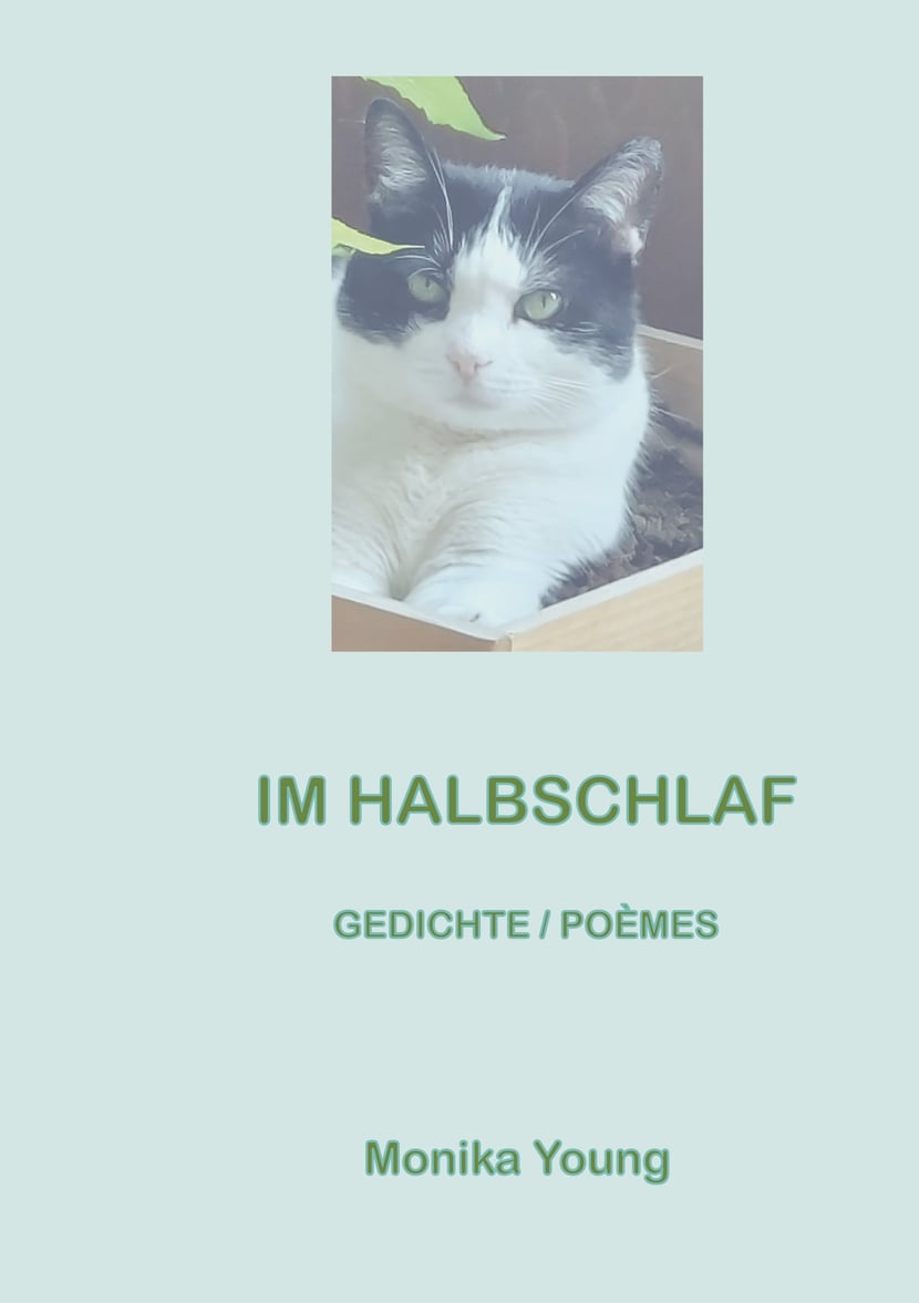 media/pim/52_metadata-image-75376490.jpeg