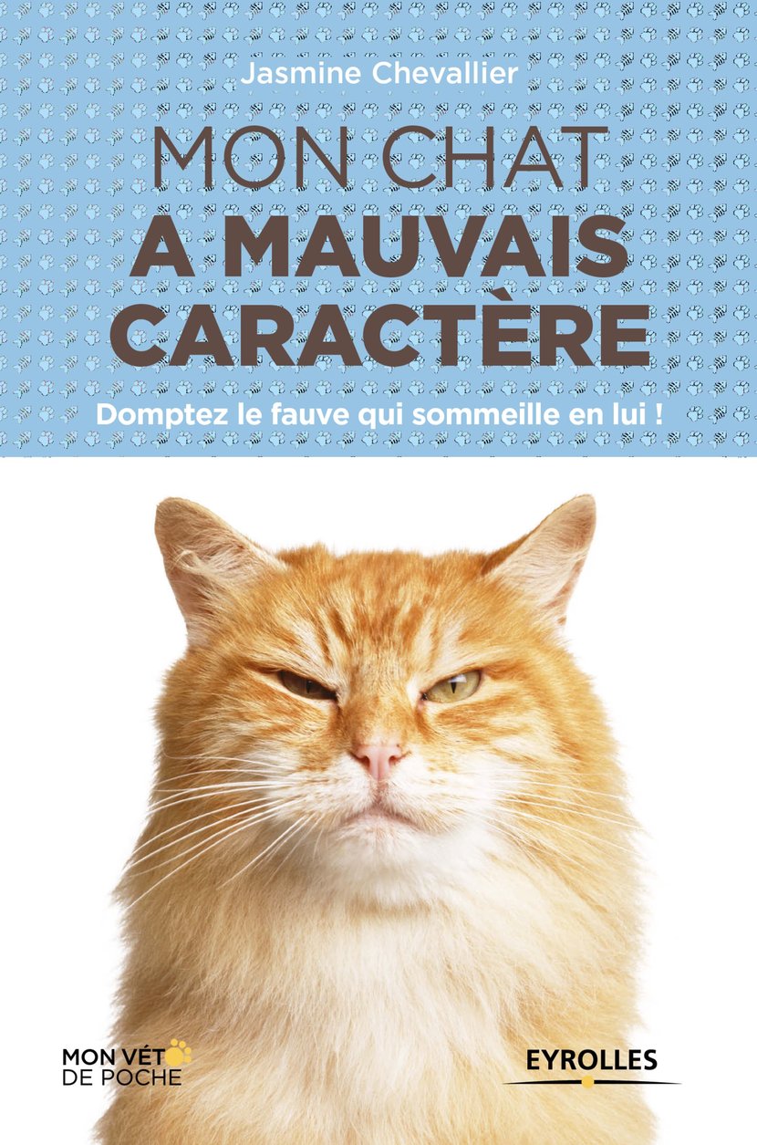 media/pim/52_metadata-image-9048025.jpeg