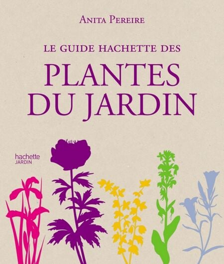 media/pim/53_5aecfd26-03ab-4989-92fe-231476ab5b43.jpeg