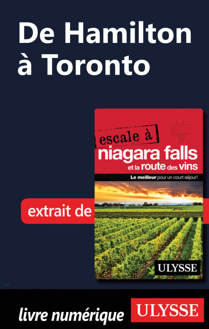 media/pim/53_c385f002-0aa5-4e91-a135-899217010662.jpeg