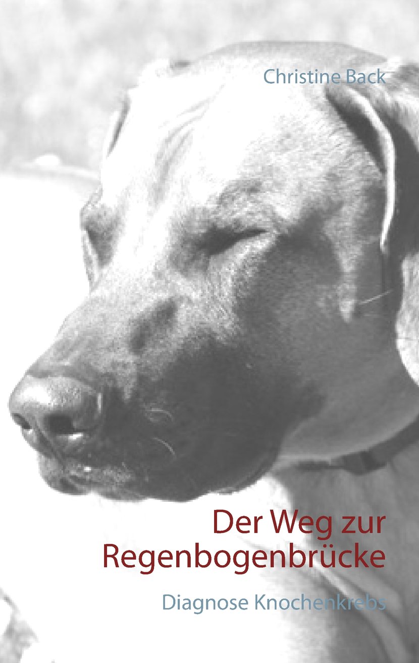 media/pim/53_metadata-image-70966906.jpeg