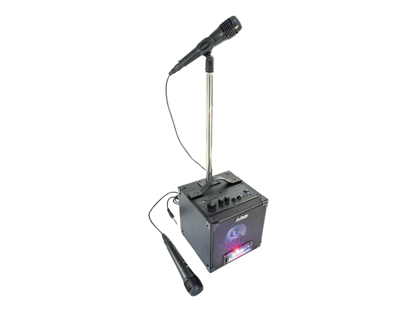 Enceinte de fête karaoké Bluetooth avec microphone, effets lumineux et  poignée de transport - PartyFunLights