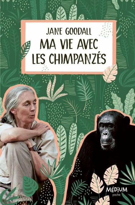 media/pim/54_5134612a-5baa-4ad1-9936-0c2a676446c2.jpeg