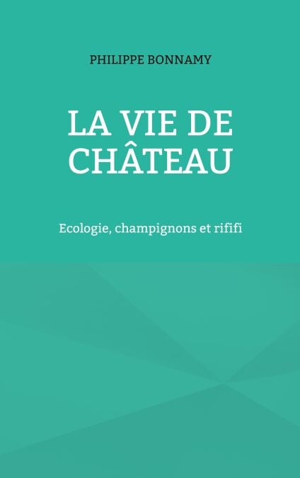 media/pim/54_e724145f-3282-4327-af05-affae6ca6a10.jpeg
