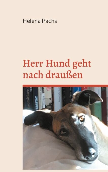media/pim/54_metadata-image-53843646.jpeg
