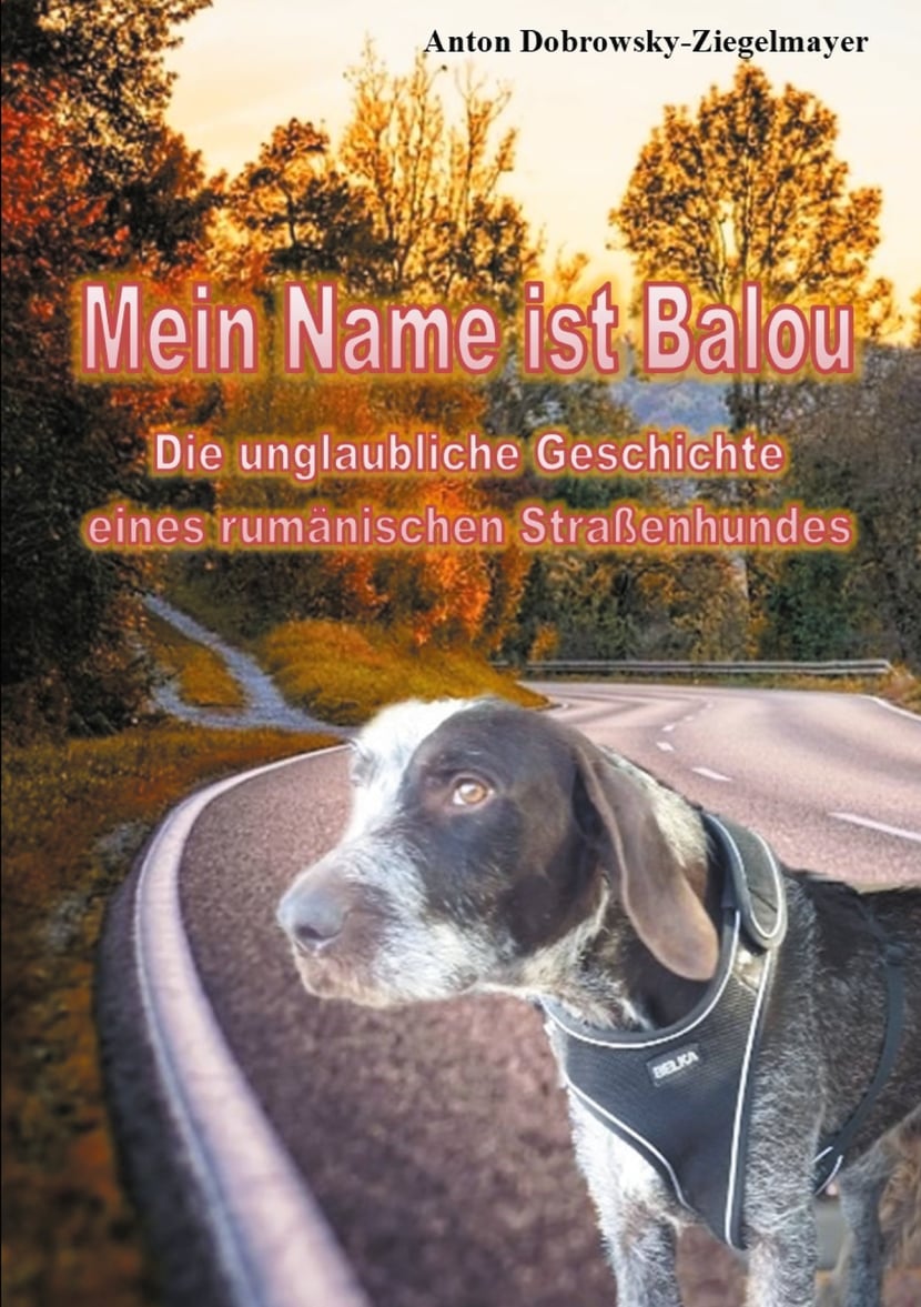 media/pim/54_metadata-image-53865555.jpeg