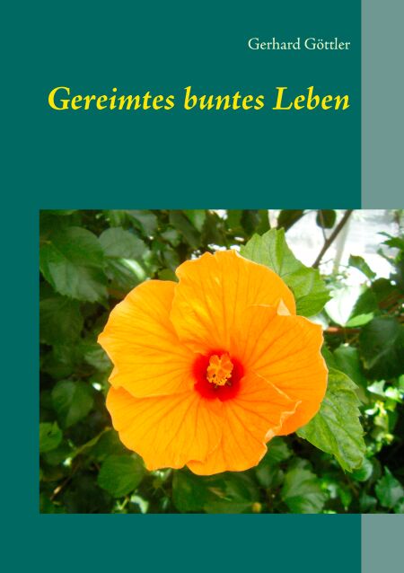 media/pim/54_metadata-image-70965663.jpeg