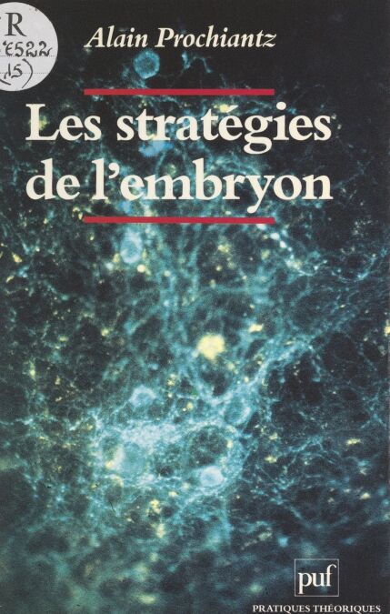 media/pim/55_8107a2f9-73d6-4afe-b812-0e5874051127.jpeg
