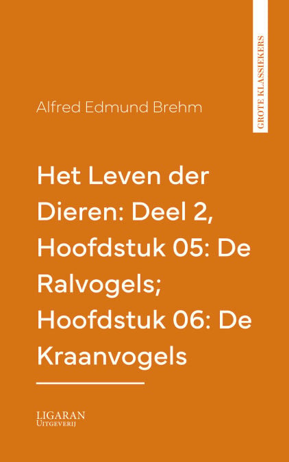 media/pim/55_d582cc95-ec06-41e1-adbe-7a775fbe9e96.jpeg