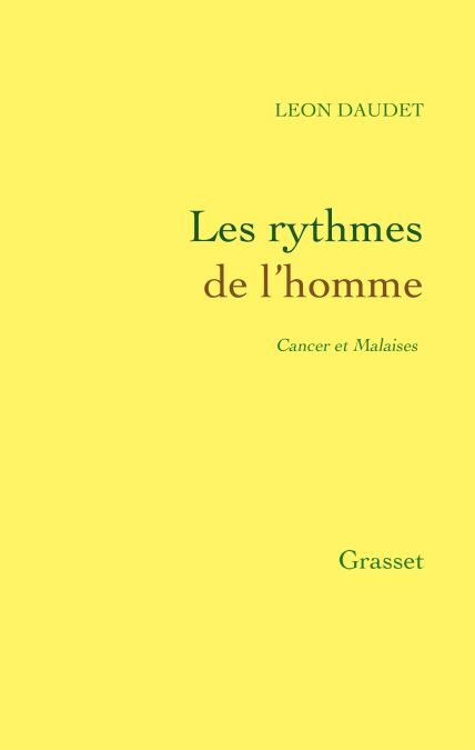 media/pim/56_8caea904-4ab0-4e79-861a-05494a26b3af.jpeg