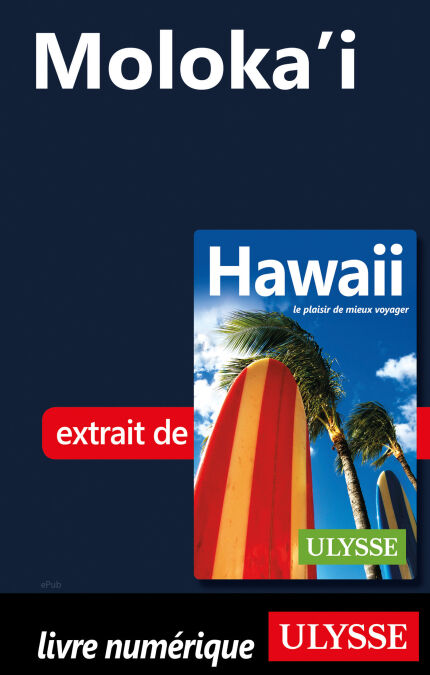 media/pim/56_e0328691-e0a6-46c0-8ed7-9744faea174e.jpeg
