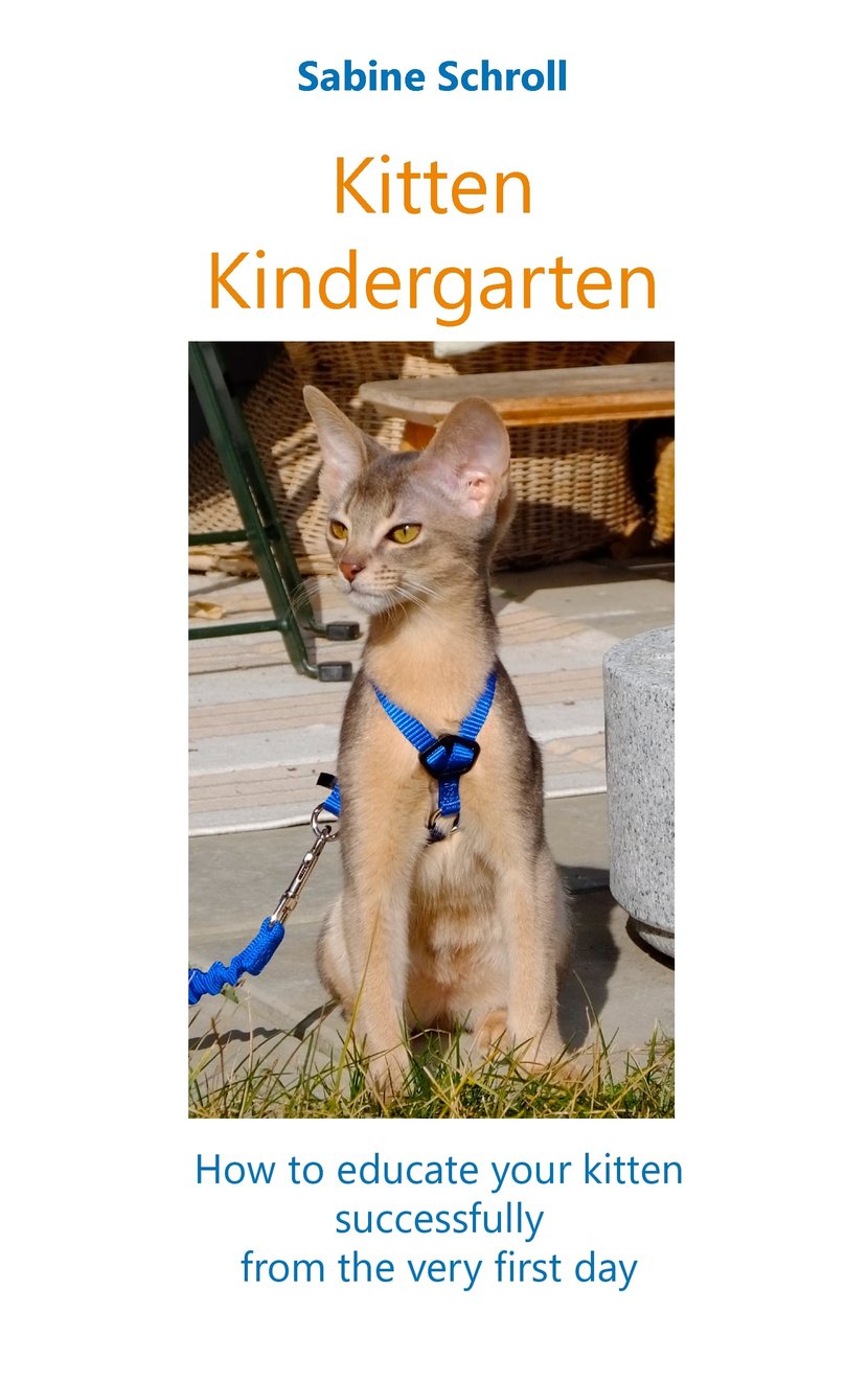 media/pim/56_metadata-image-70970123.jpeg