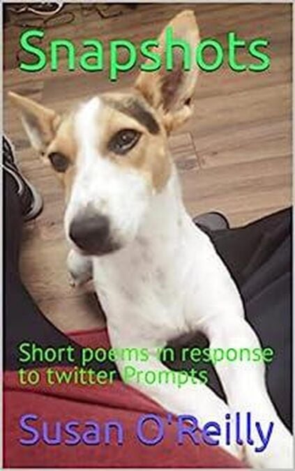 media/pim/57_c8f31459-e597-487f-8e74-e4c7c5327a65.jpeg