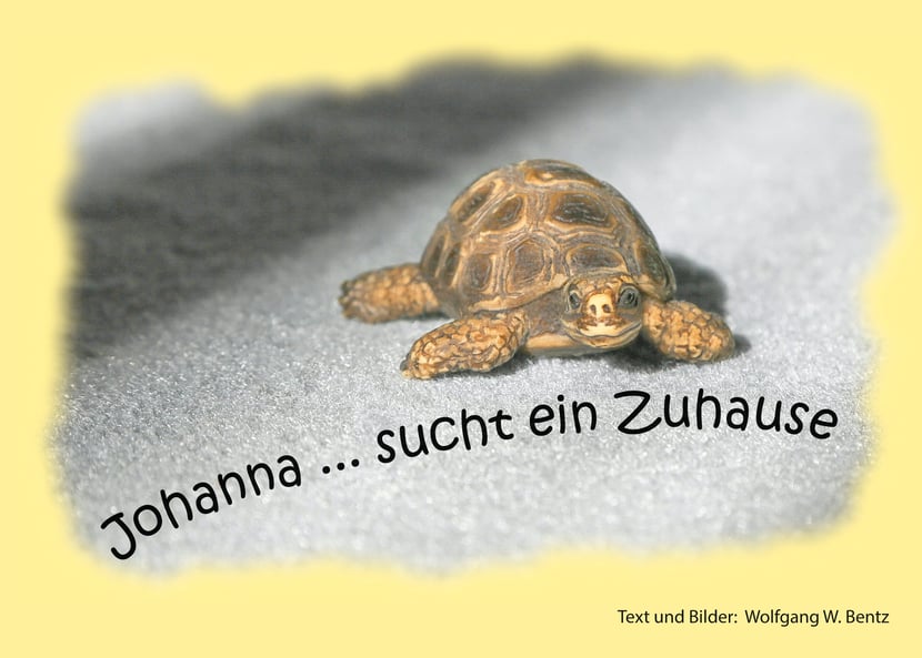 media/pim/57_metadata-image-47228931.jpeg