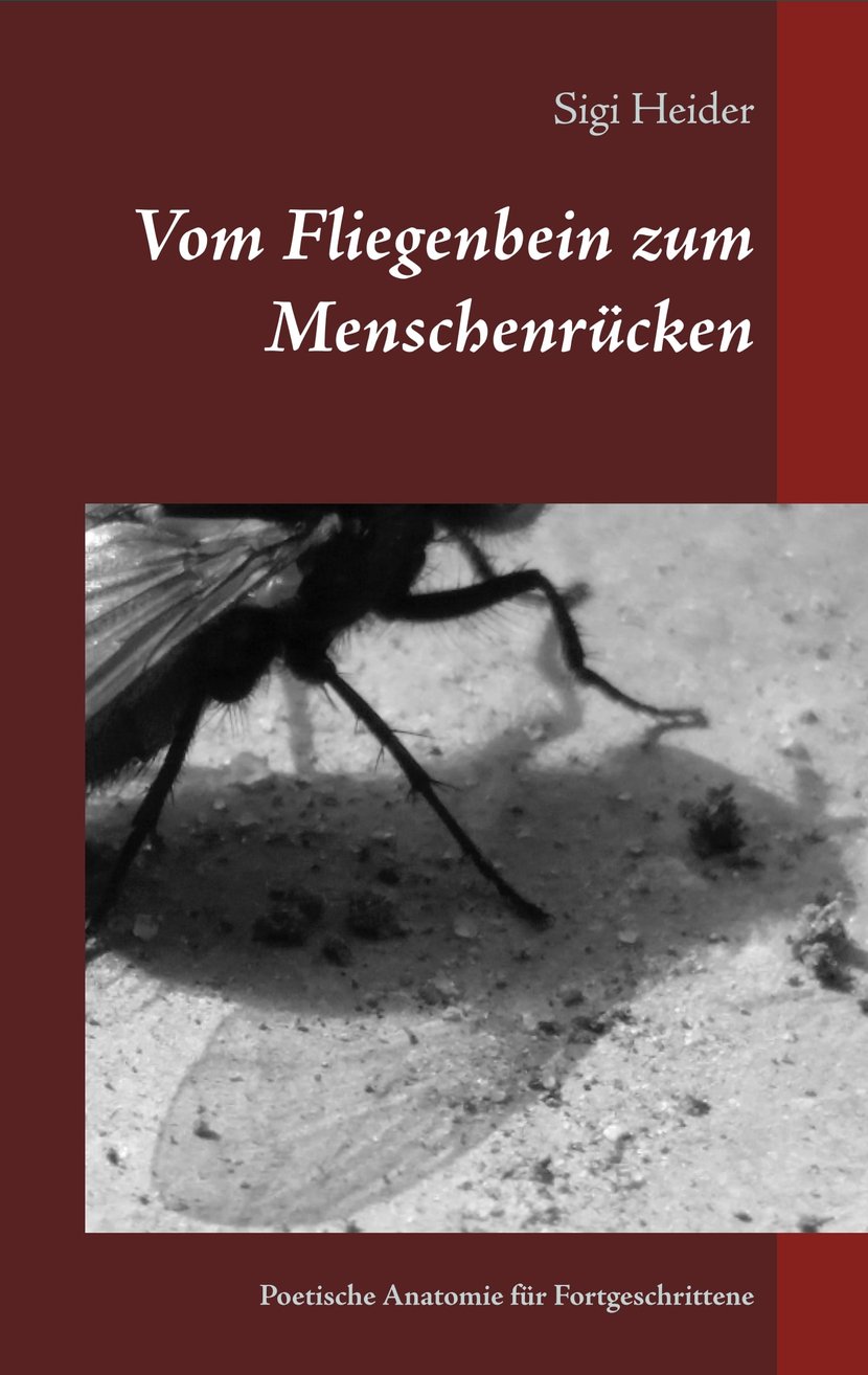 media/pim/57_metadata-image-70914342.jpeg
