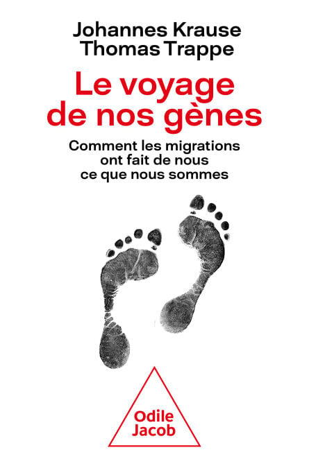 media/pim/58_3a326107-9684-44dd-a1d9-c2a165f49198.jpeg