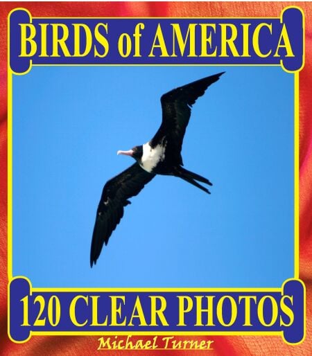 media/pim/58_6d4bf705-56c2-488a-ab8a-21d7d3f3d531.jpeg