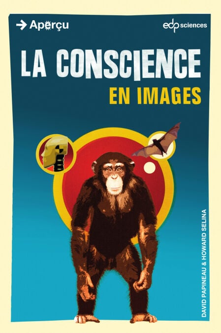 media/pim/58_761fd969-745d-4eef-8052-9a3ac80396b0.jpeg