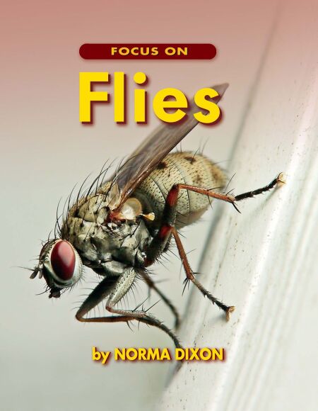 media/pim/59_standalone-image-2836538.jpg