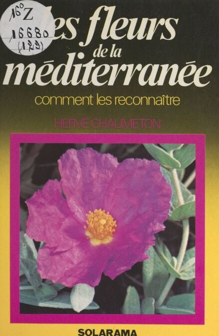 media/pim/5_3cb64dd4-627e-4ea9-adf1-7d3d5dcb51e2.jpeg