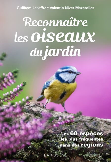 media/pim/5_d05cb139-70fc-4aaa-9149-49e7536dcec9.jpeg