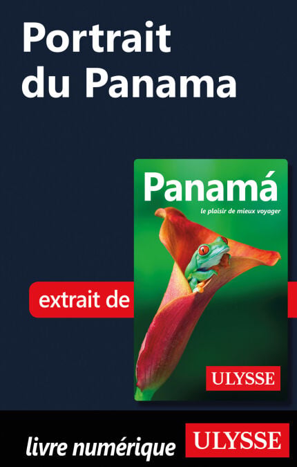 media/pim/5_d89e15b0-360b-474d-99f6-169305537099.jpeg