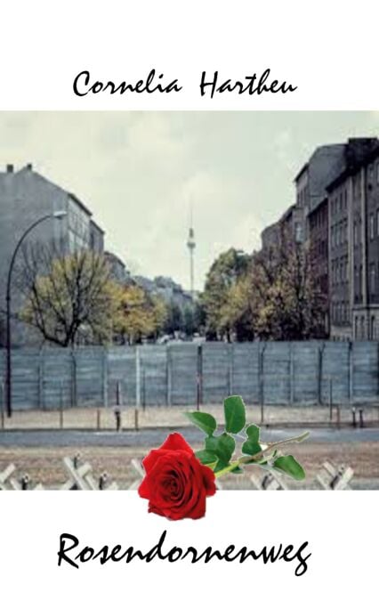 media/pim/5_e31e9c8d-6b1e-4d1b-9161-e78faaa41512.jpeg
