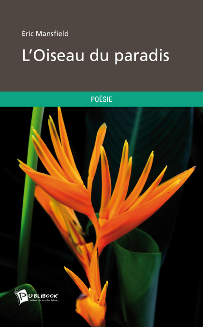 media/pim/5_metadata-image-3274891.png