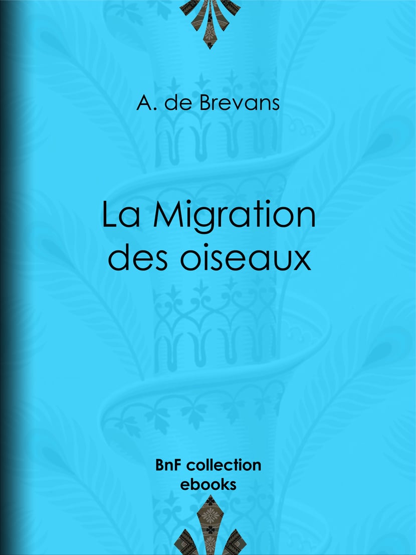 media/pim/5_metadata-image-3280417.png
