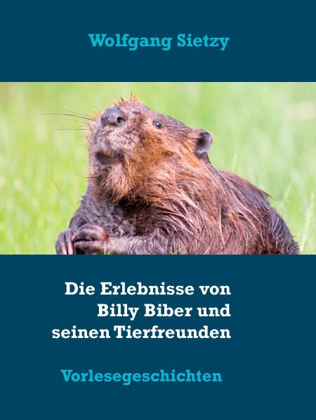 media/pim/5_metadata-image-37393931.jpeg