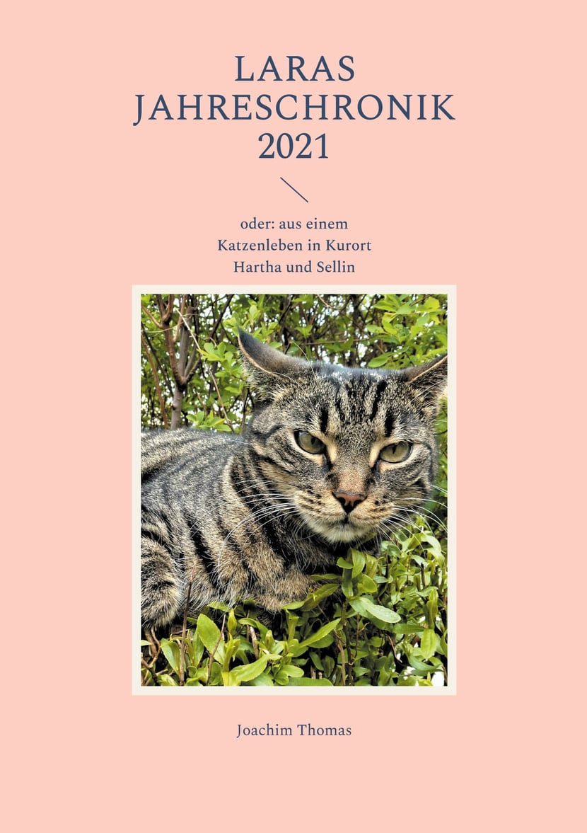 media/pim/5_metadata-image-56650133.jpeg