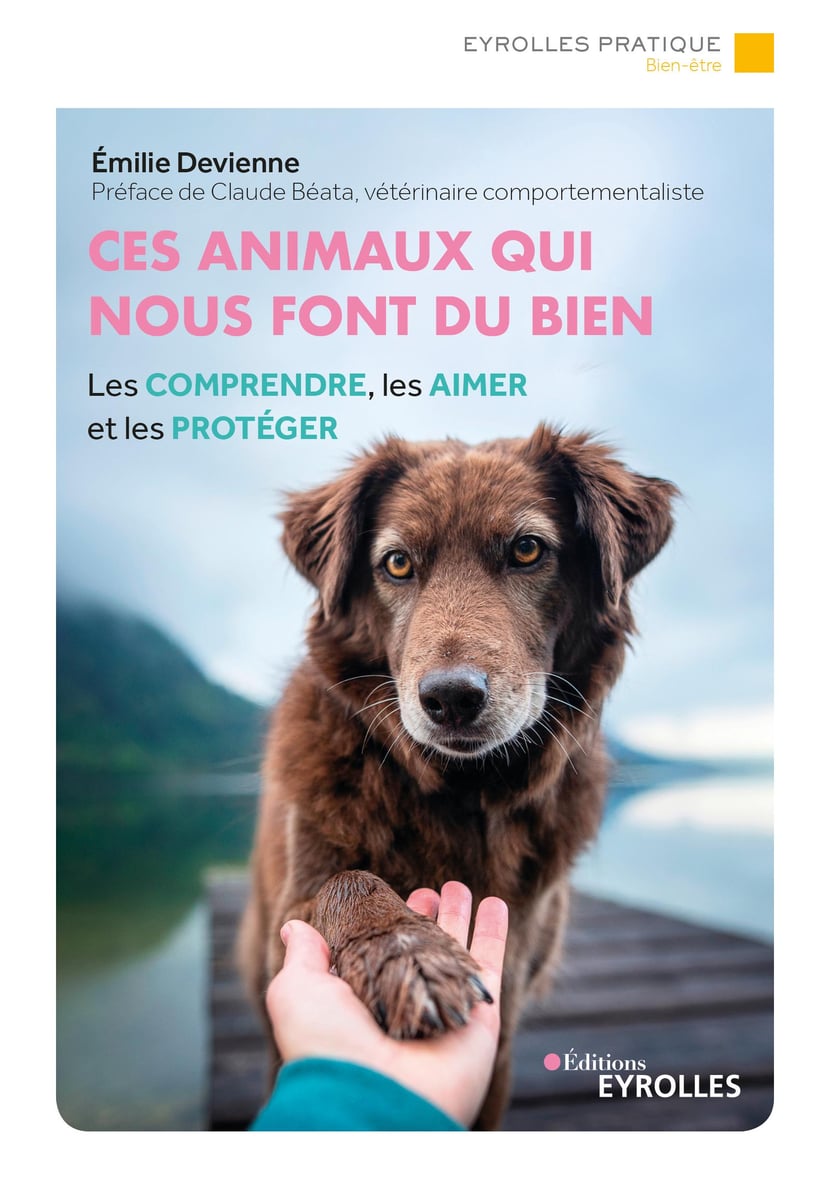 media/pim/5_metadata-image-59023514.jpeg