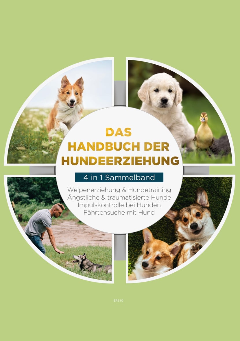 media/pim/5_metadata-image-67524941.jpeg