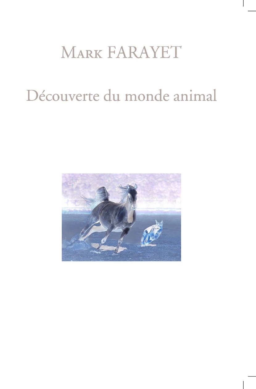 media/pim/5_metadata-image-70918699.jpeg