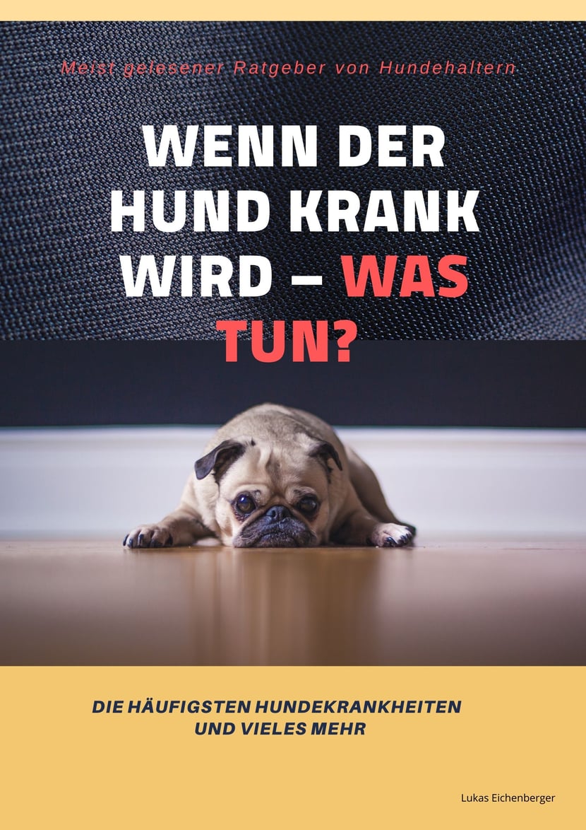 media/pim/5_metadata-image-70934432.jpeg