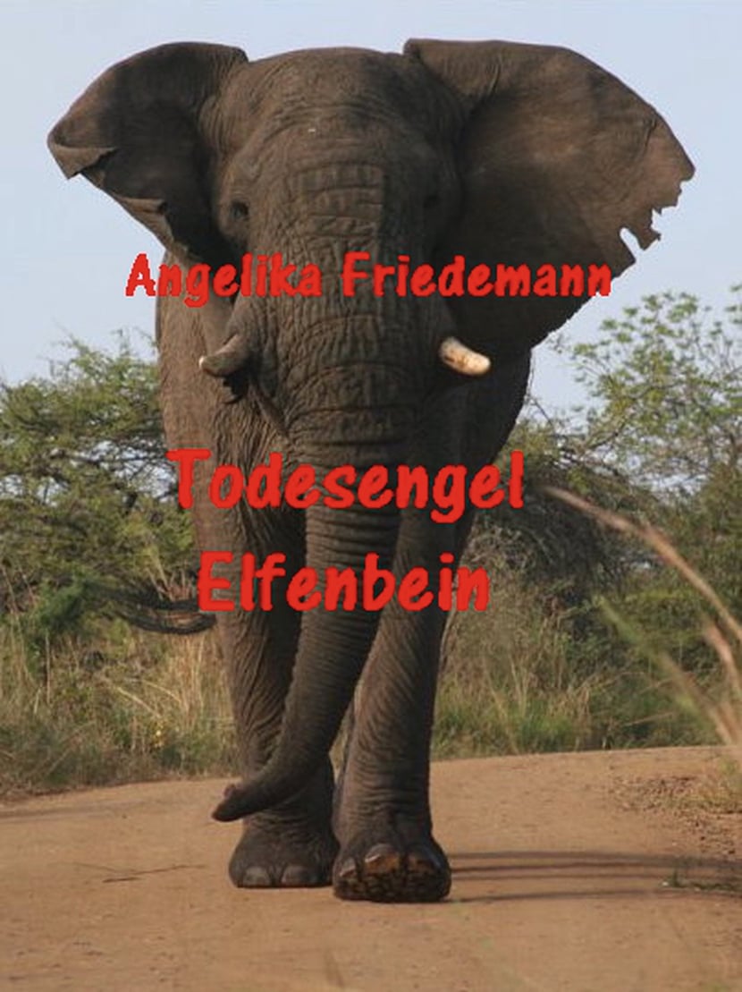 media/pim/5_metadata-image-70940575.jpeg