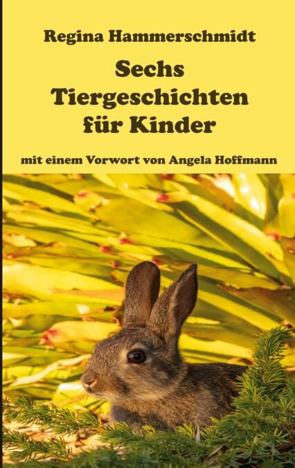 media/pim/5_metadata-image-76897889.jpeg