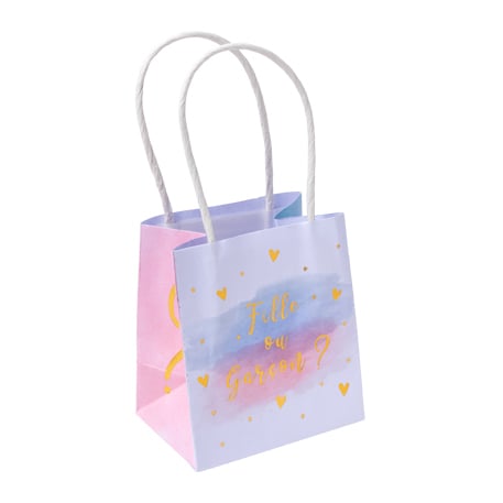 media/pim/6-sacs-cadeaux-fille-ou-garcon-3700091791371_0.jpg
