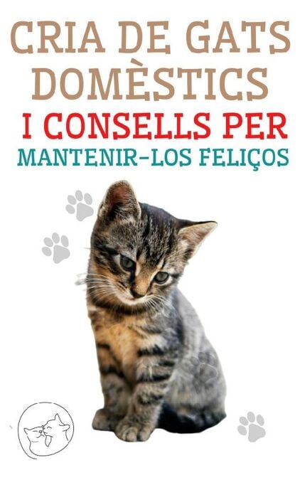 media/pim/60_08acb1aa-d1e2-4c00-a895-5afce324db03.jpeg