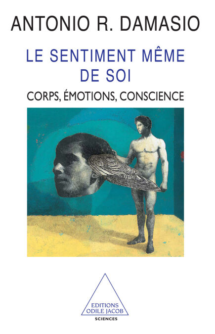 media/pim/60_6a0f4d31-9d6e-4d88-b665-7a97fdfe8619.jpeg
