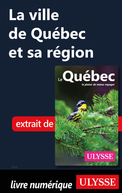 media/pim/60_f0515391-be27-45a1-958f-40b8e7248160.jpeg
