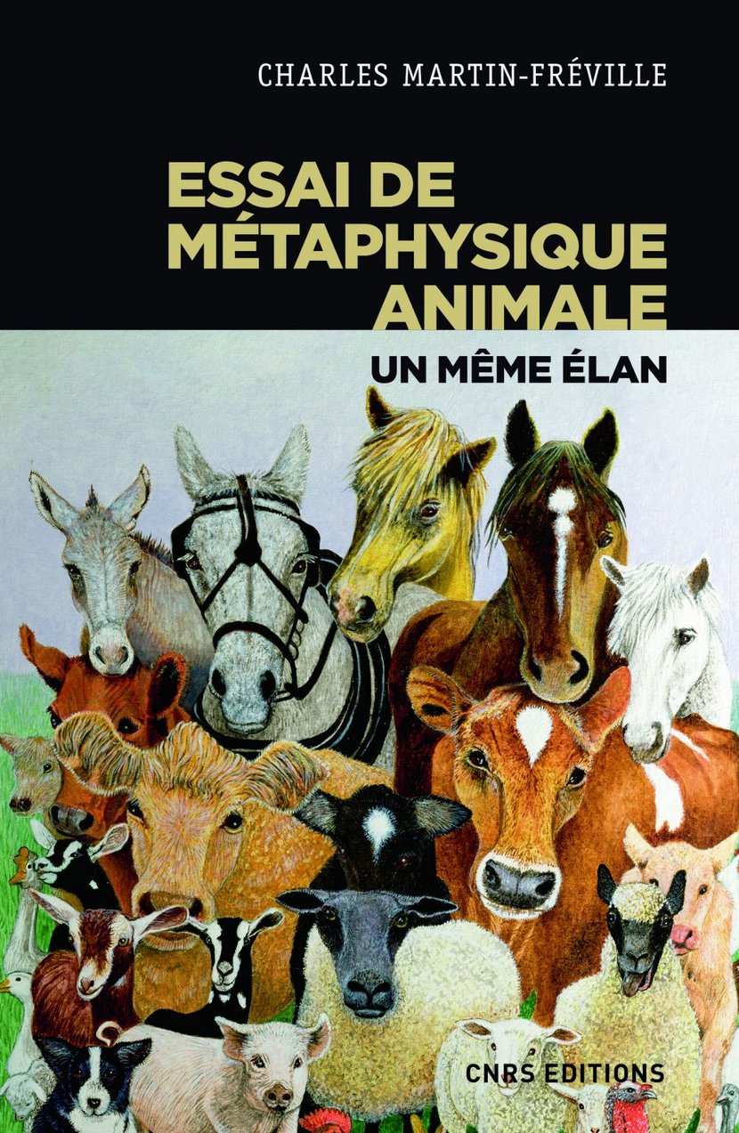 media/pim/60_metadata-image-42195908.jpeg