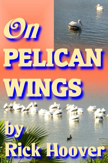 media/pim/61_53dd29bb-f0c4-4740-9247-5fbc645bdd8b.jpeg