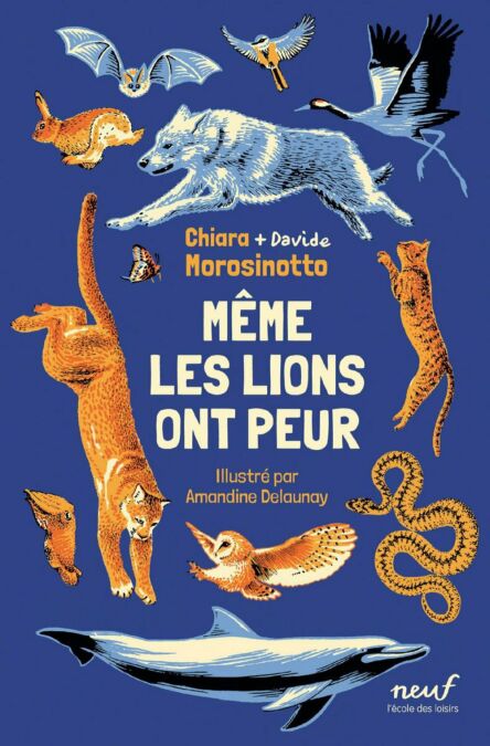 media/pim/61_9aeddb80-af41-4e1b-b2bc-051836fa81bd.jpeg