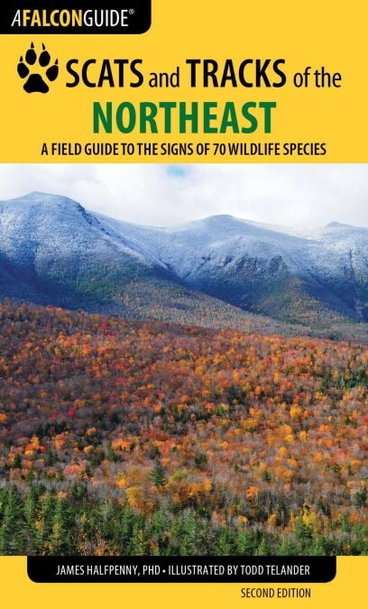 media/pim/61_dea7362a-9802-46c3-9c35-23a7bc1c256d.jpeg