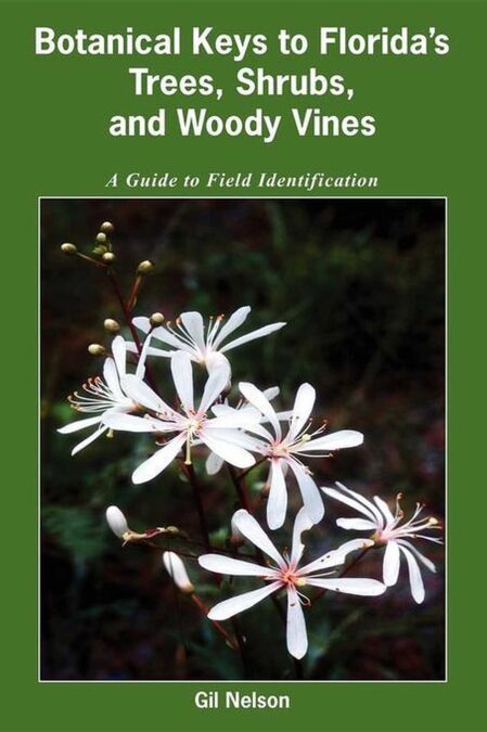media/pim/62_12c4b54a-1c95-4a1a-91c4-c1163b9f8a10.jpeg