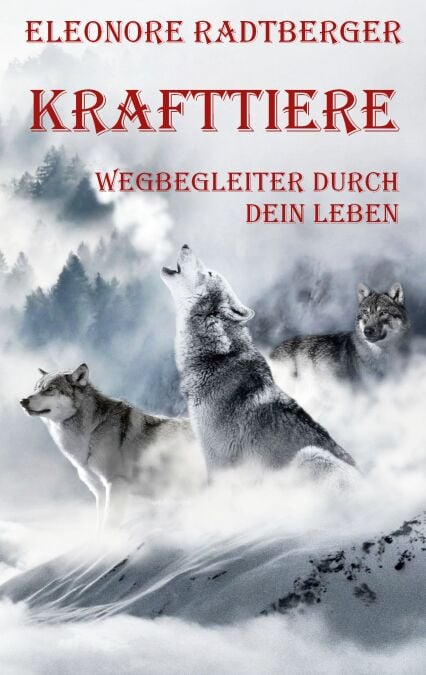 media/pim/62_8d22a236-433a-4f15-afd2-e7456472b6bd.jpeg