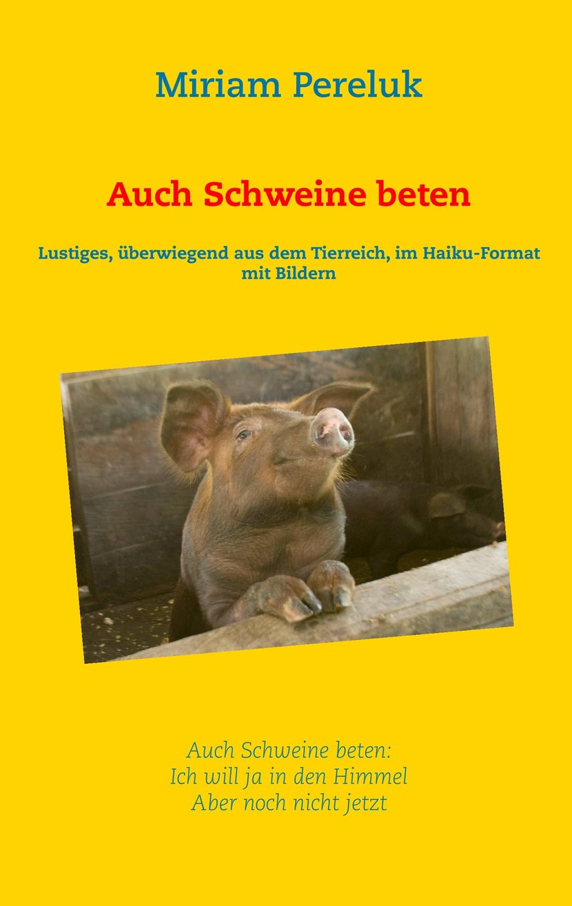 media/pim/62_metadata-image-70979368.jpeg