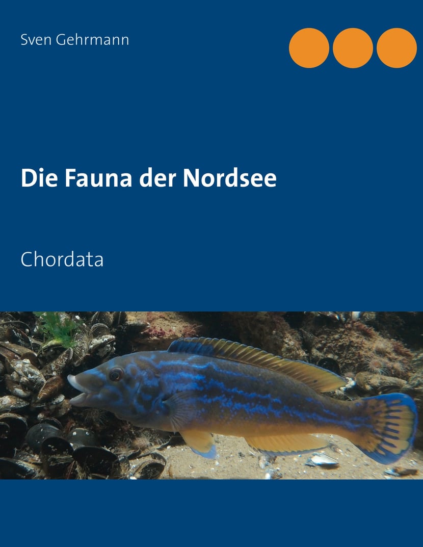 media/pim/62_metadata-image-70982444.jpeg