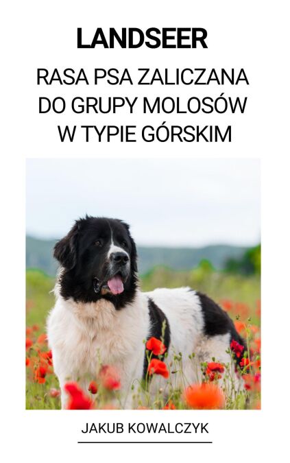 media/pim/63_570a0033-ef1e-44de-ad19-f37ced1b8e3e.jpeg